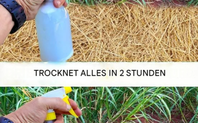 Bestes selbstgemachtes Unkrautvernichtungsmittel: Ungiftige Lösung (Trocknet Unkraut innerhalb von 2 Stunden)