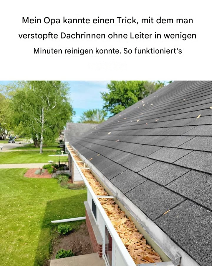 Warum hat mir das niemand früher gesagt?!