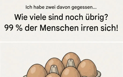 Löse die Rätsel: Bist du dazu in der Lage?