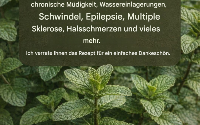 Minze und Zitronensaft: verbessern das Gedächtnis und eliminieren… Mehr anzeigen