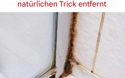 Verfärben sich Ihre Silikondichtungen schwarz? Entdecken Sie die natürliche Methode, die ihre Reinigung revolutioniert.