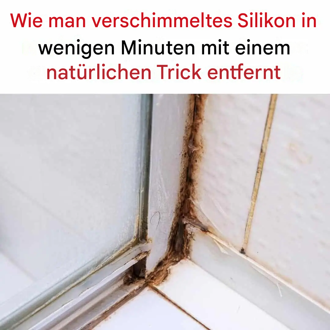 Verfärben sich Ihre Silikondichtungen schwarz? Entdecken Sie die natürliche Methode, die ihre Reinigung revolutioniert.