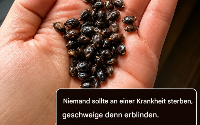 Versteckte Inhaltsstoffe in Samen und Krebsvorwürfe: Was die Wissenschaft wirklich sagt
