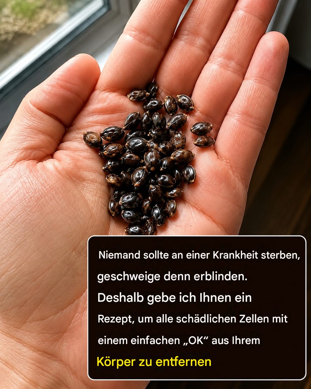 Versteckte Inhaltsstoffe in Samen und Krebsvorwürfe: Was die Wissenschaft wirklich sagt