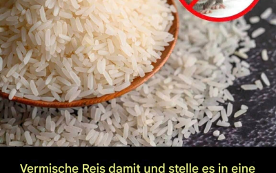 Vermischen Sie dies mit einer Schüssel Reis, und die Mäuse werden schnell aus Ihrem Haus verschwinden.