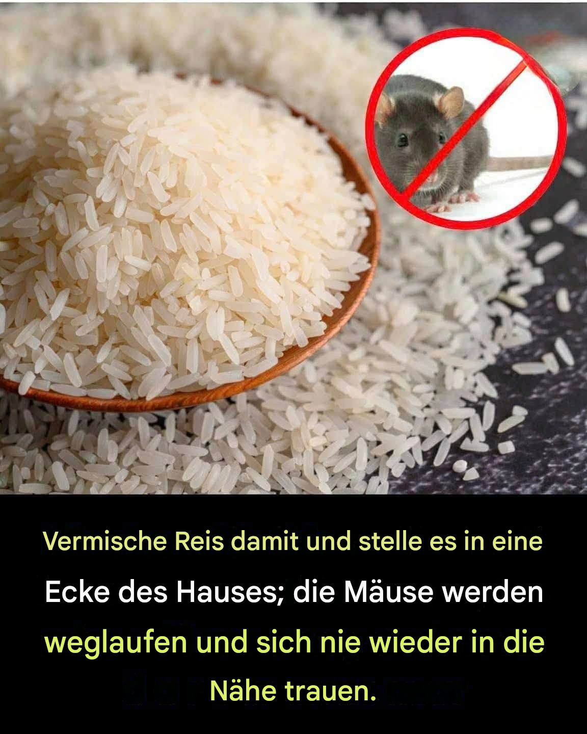Vermischen Sie dies mit einer Schüssel Reis, und die Mäuse werden schnell aus Ihrem Haus verschwinden.