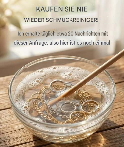 DIY-Schmuckreiniger-Anleitung