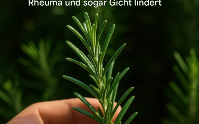 Entdecken Sie die Kraft des Rosmarins: „Natürliches Morphium“ für Ihr eigenes Zuhause