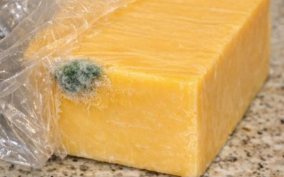 Ich bin gerade vom Einkaufen zurückgekommen und habe diesen teuren Cheddar-Block geöffnet, um Abendessen zu kochen. An einer Ecke ist ein kleiner grüner Flaum, aber der