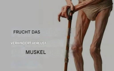 6 Lebensmittel, die helfen, die Muskelmasse zu erhöhen