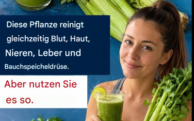 Sellerie, diese Pflanze reinigt gleichzeitig Blut, Haut, Nieren, Leber und Bauchspeicheldrüse 👇🏻 Rezept im ersten Kommentar.