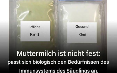Muttermilch ist nicht konstant: Sie passt sich biologisch den Bedürfnissen des Immunsystems des Säuglings an.