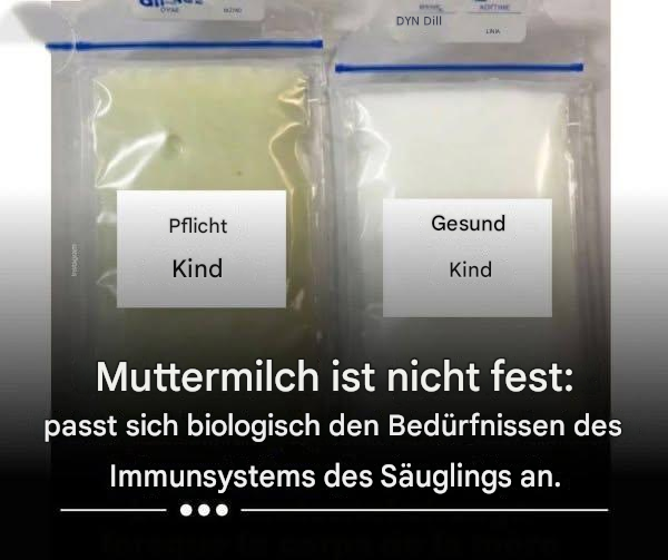 Muttermilch ist nicht konstant: Sie passt sich biologisch den Bedürfnissen des Immunsystems des Säuglings an.