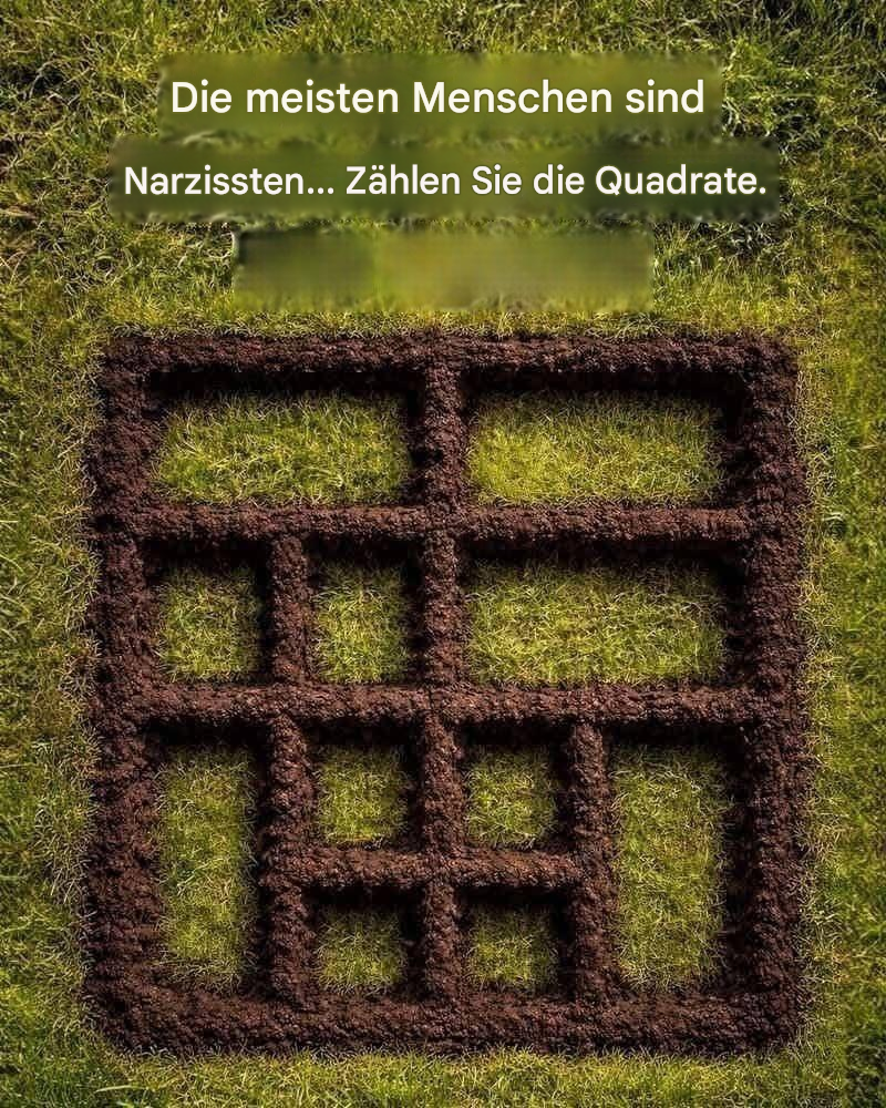 Wie viele Quadrate kannst du entdecken?