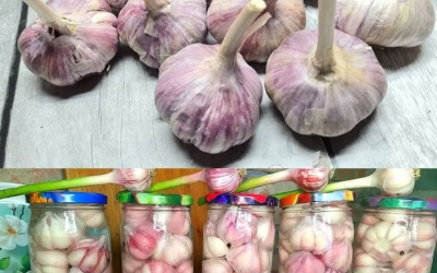 Chefkoch kocht zwei Jahre mit dieser Truc-Blijft, die ich ein Jahr lang versierte