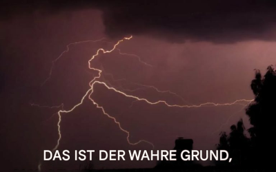 Nach der Hitzewelle: Davor warnen die Menschen jetzt. Mehr dazu in den Kommentaren.
