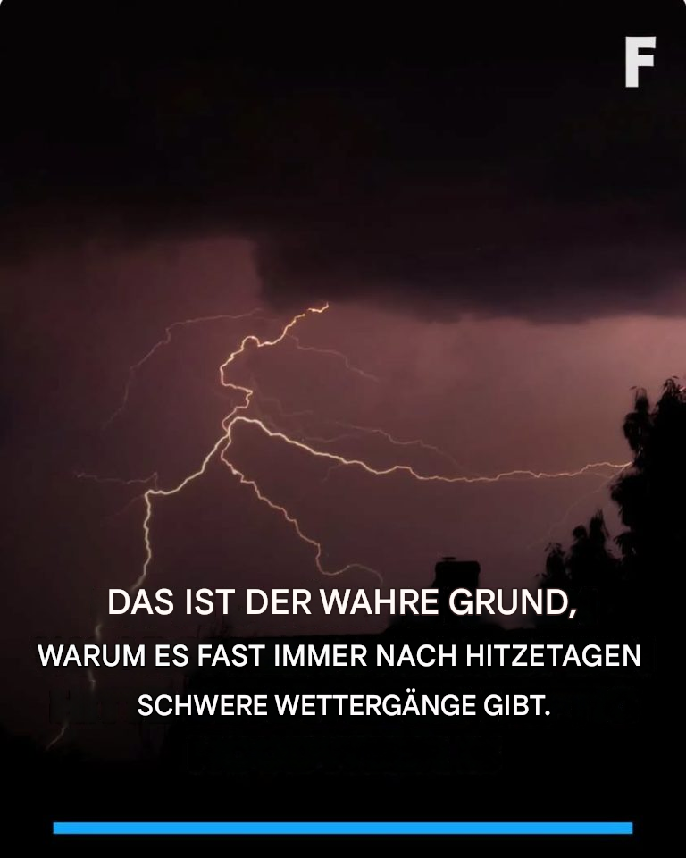Nach der Hitzewelle: Davor warnen die Menschen jetzt. Mehr dazu in den Kommentaren.