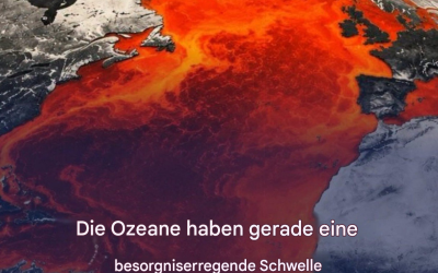 Im Juni erreichen die Ozeane Rekordtemperaturen. Ein alarmierender Schwellenwert für unseren Planeten! 🌊