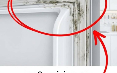 So reinigen Sie die wasserdichte Dichtung Ihres Kühlschranks in 5 Minuten.