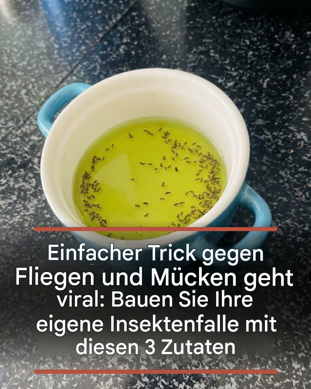 Einfacher Trick gegen Fliegen und Mücken geht viral: Bauen Sie Ihre eigene Insektenfalle mit diesen 3 Zutaten