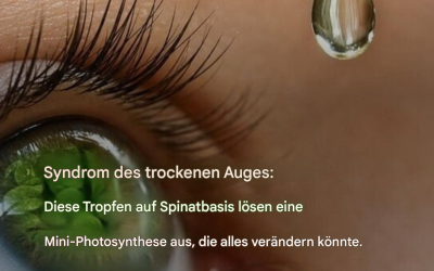 Trockenes Auge: Diese Tropfen auf Spinatbasis regen eine Mini-Photosynthese an, die alles verändern könnte.