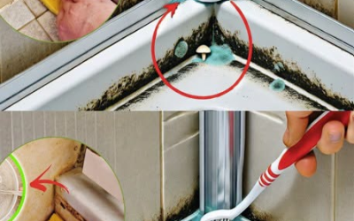 Sind Ihre Fliesenfugen immer grau? Dieser Gärtnertipp wird Sie verblüffen.