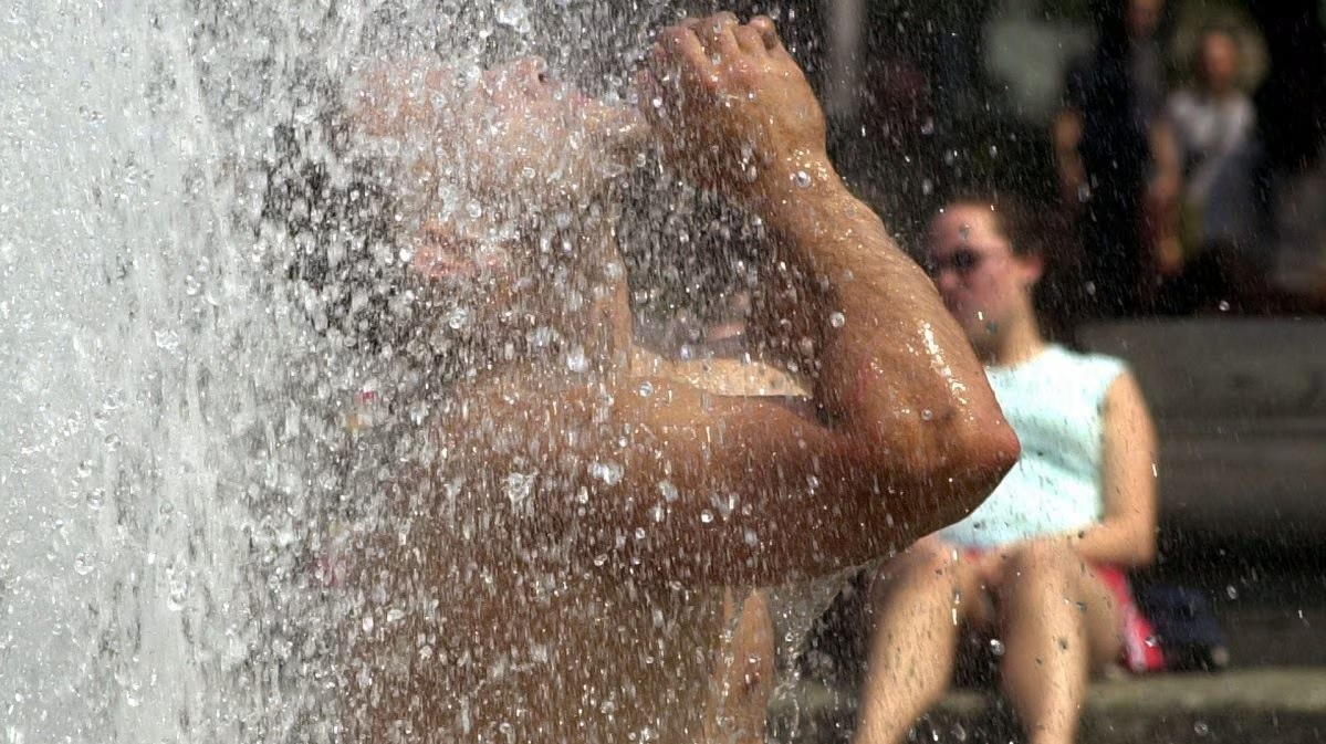 ⚠ Hitze, warnen Experten: Das Herz hört bei ° auf zu schlagen… Mehr…