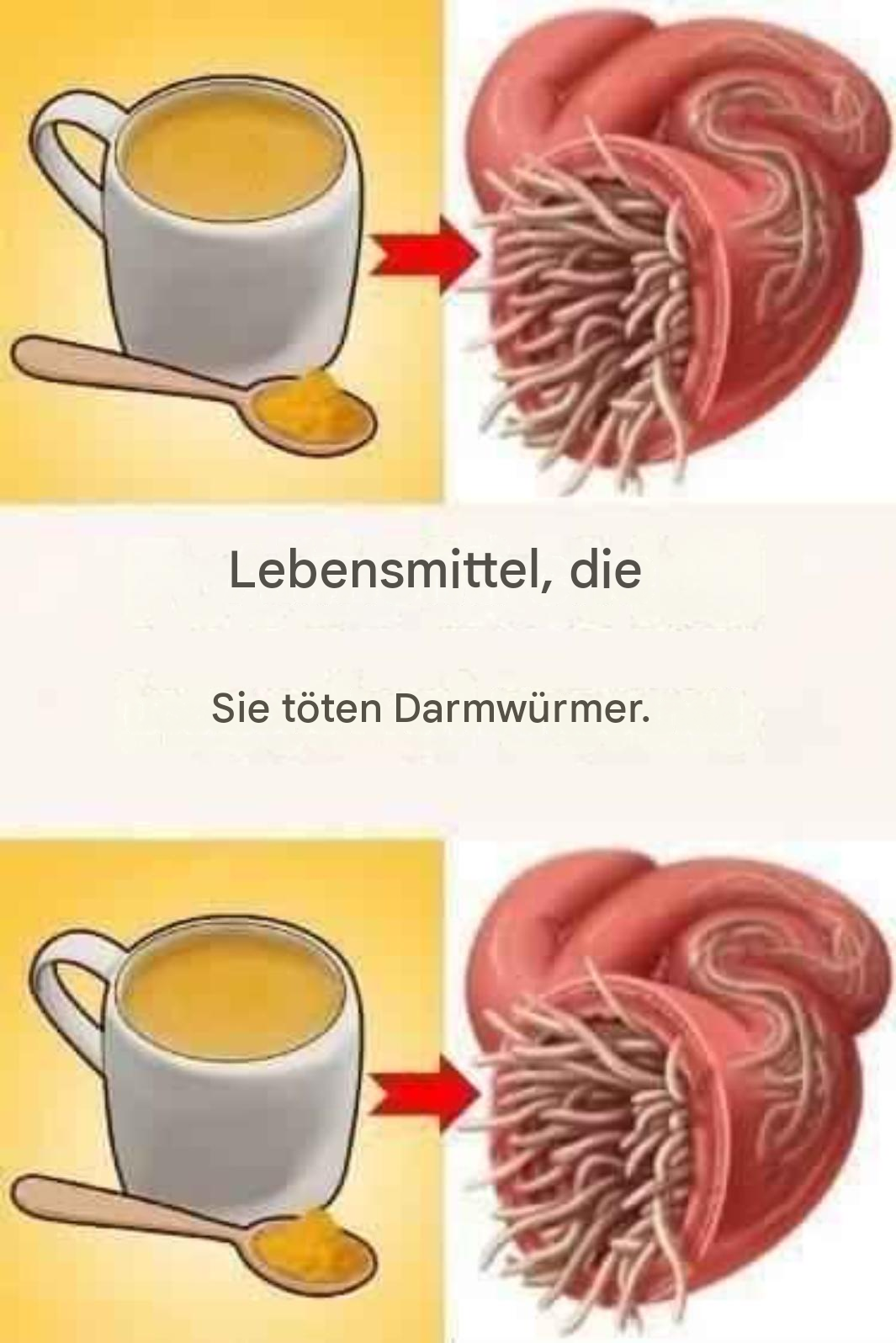 7 Lebensmittel, die Darmwürmer abtöten
