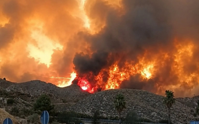 Großbrand, zahlreiche Tote