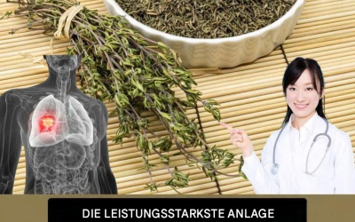 Die wirkungsvollste Heilpflanze, die viele immer noch übersehen