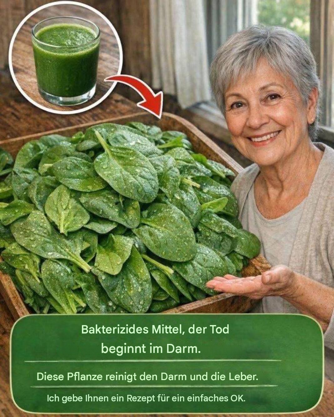 Bakterizid: Bekämpft bakterielle Darminfektionen. Diese Pflanze reinigt Darm und Leber. Hier ist ein Rezept für eine schnelle Linderung.