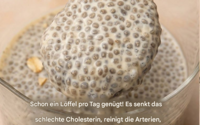 Vanille-Chia-Samen-Pudding