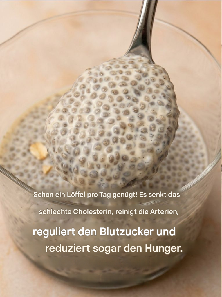 Vanille-Chia-Samen-Pudding