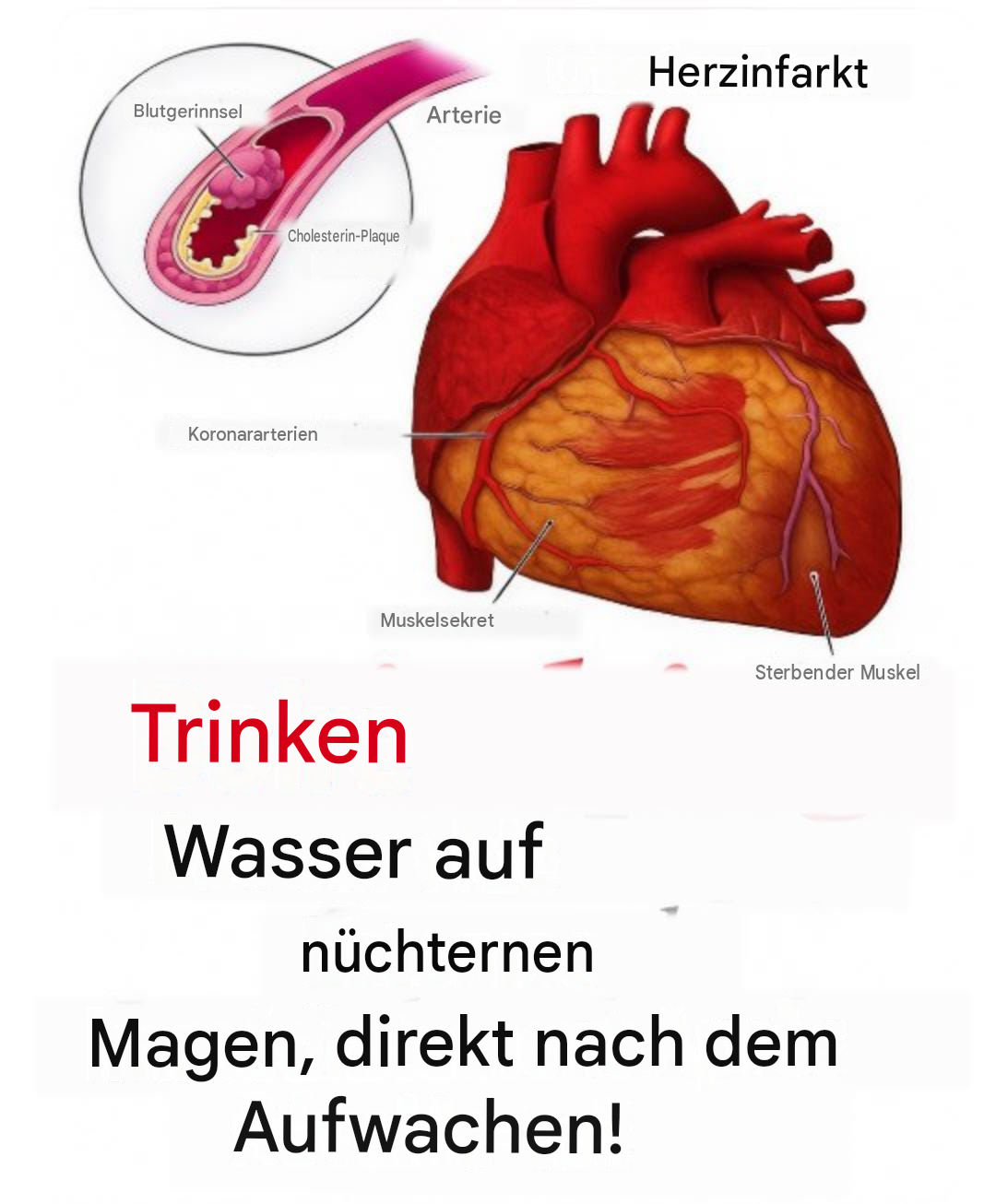 Wussten Sie, dass Wassertrinken auf leeren Magen… mehr dazu 👇