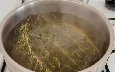 Kochen Sie 5 Rosmarinzweige auf, und Sie werden dieses lästige Problem los.