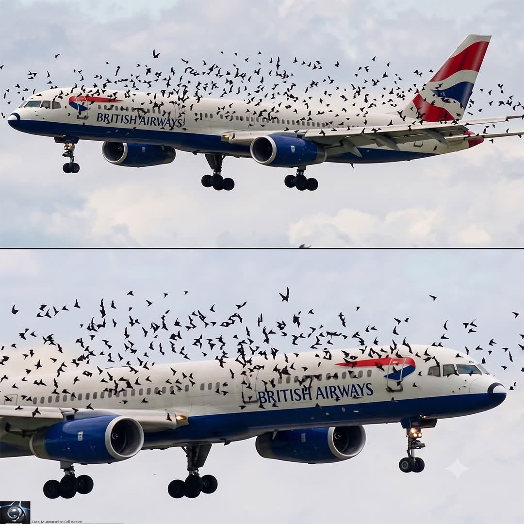 ALLEMAGNE: Ein Flug, der zunächst normal schien, erlebte mitten in der Reise einen unerwarteten Moment.