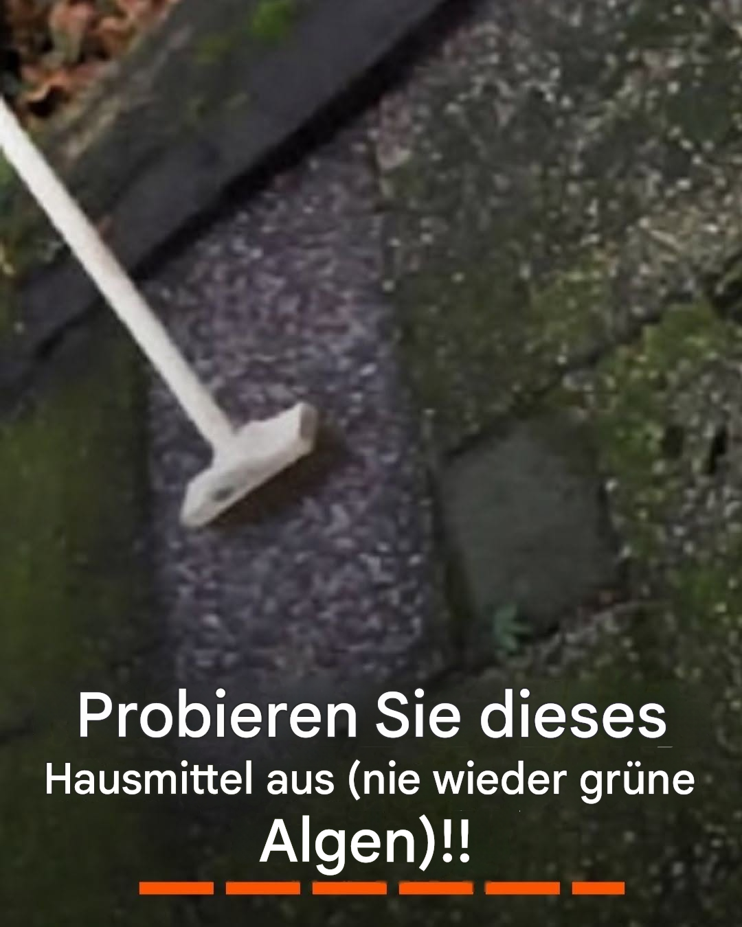 Probieren Sie dieses Hausmittel (keine grünen Algen mehr)