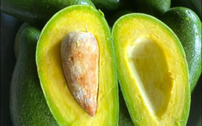 Verursacht der Verzehr von Avocados tatsächlich gesundheitliche Probleme? Die Meinung von Ärzten.