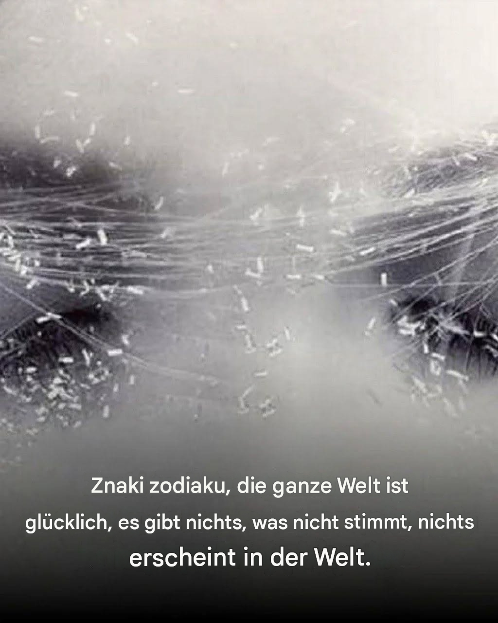 Sternzeichen mit einem übernatürlichen sechsten Sinn, die niemals Fehler machen.