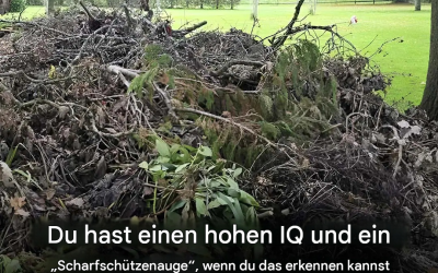 Dieser Sehtest wird Sie sprachlos machen: Auf diesem Bild ist ein Hund versteckt, und nur die Aufmerksamsten werden ihn finden können.