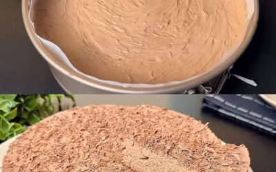 Schneller Kuchen mit 500 g Mascarpone in 10 Minuten. Für den Boden: 200 g zerbröselte Kekse, 1 Esslöffel Kakao…