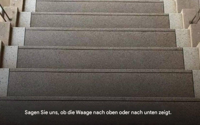 Steigst du die Karriereleiter hinauf oder sinkst du hinab? Diese Entscheidung offenbart deinen wahren Halt im Leben.
