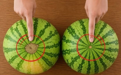 Schaut euch DIESEN ORT an: So wählt man immer eine süße, saftige und perfekt reife Wassermelone aus!