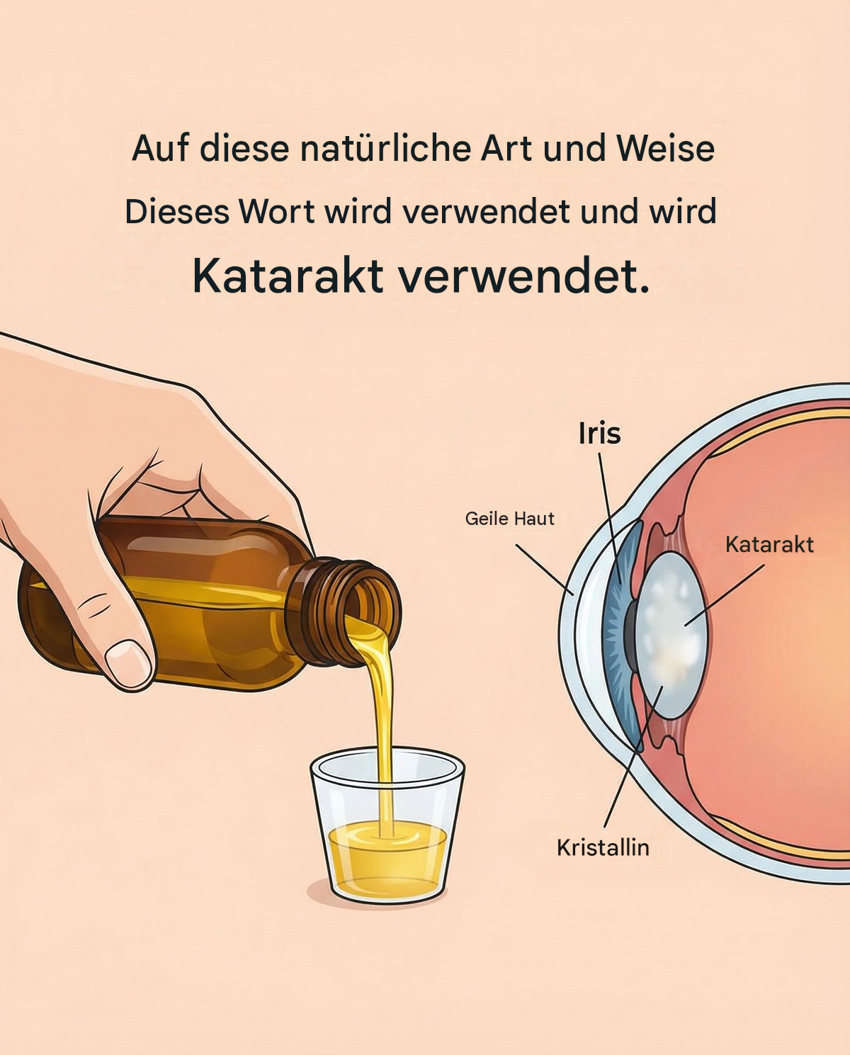 Das Haus verbessert das Sehvermögen und beugt Katarakten vor (Kommentar zu den Vorteilen).