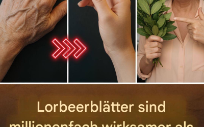 Lorbeerblatt: Das Geheimnis der Natur für jugendliche, faltenfreie Haut! ✨