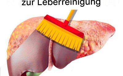 Die besten Lebensmittel zur Leberreinigung