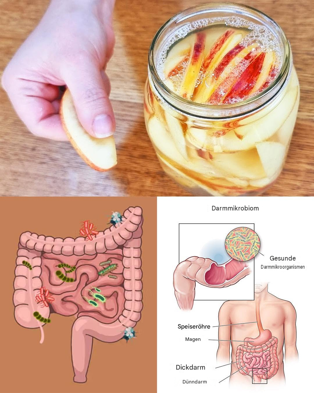 Ein einfaches Rezept für fermentierte Äpfel für Darmgesundheit, Immunsystem und natürliche Energie