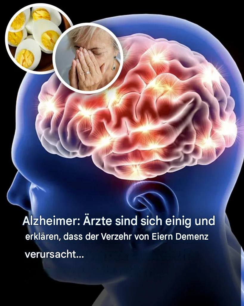 Alzheimer: Warum helfen Eier, das Demenzrisiko zu verringern? Eine neue Studie liefert die Antwort.