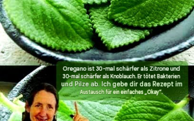 Oregano ist 30-mal schärfer als Zitrone und 30-mal schärfer als Knoblauch. Er tötet Bakterien und Pilze ab. Ich gebe dir das Rezept im Austausch für ein einfaches „Okay“.