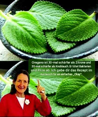 Oregano ist 30-mal schärfer als Zitrone und 30-mal schärfer als Knoblauch. Er tötet Bakterien und Pilze ab. Ich gebe dir das Rezept im Austausch für ein einfaches „Okay“.